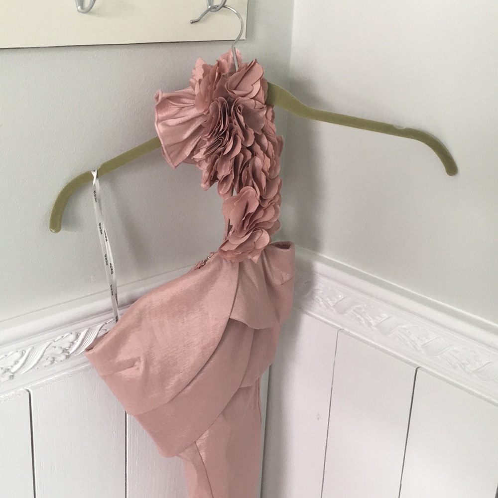 Rose Gold Dress